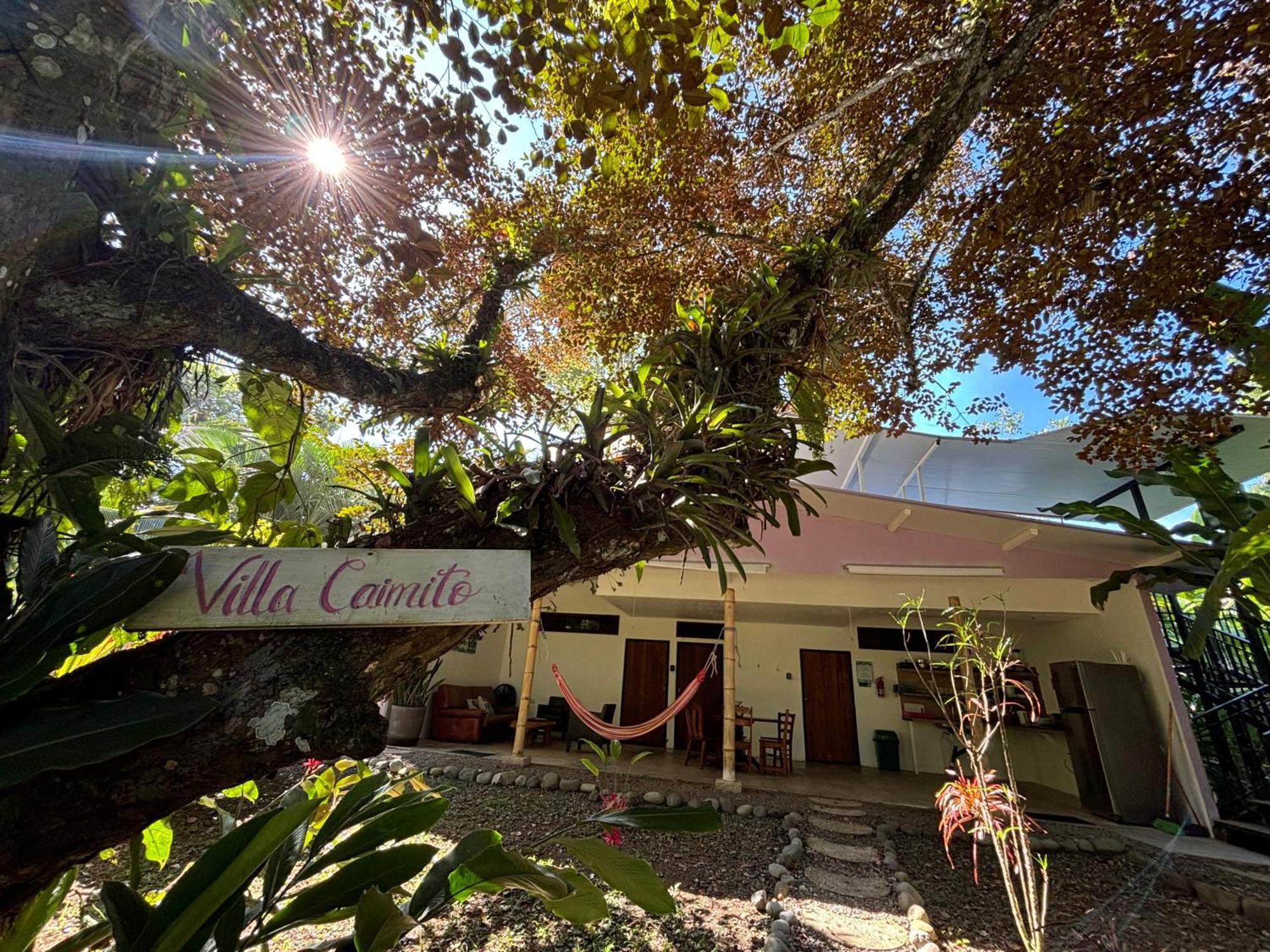 Puerto Viejo Club, Villas & Pool Puerto Viejo de Talamanca Luaran gambar